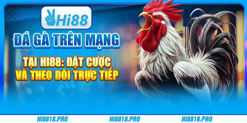 Đá Gà Trên Mạng tại Hi88: Đặt Cược và Theo Dõi Trực Tiếp