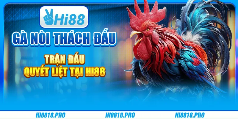 Gà Nòi Thách Đấu – Trận Đấu Quyết Liệt Tại Hi88