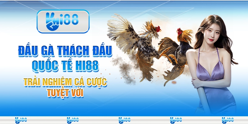 Đấu Gà Thách Đấu Quốc Tế Hi88 Trải Nghiệm Cá Cược Tuyệt Vời